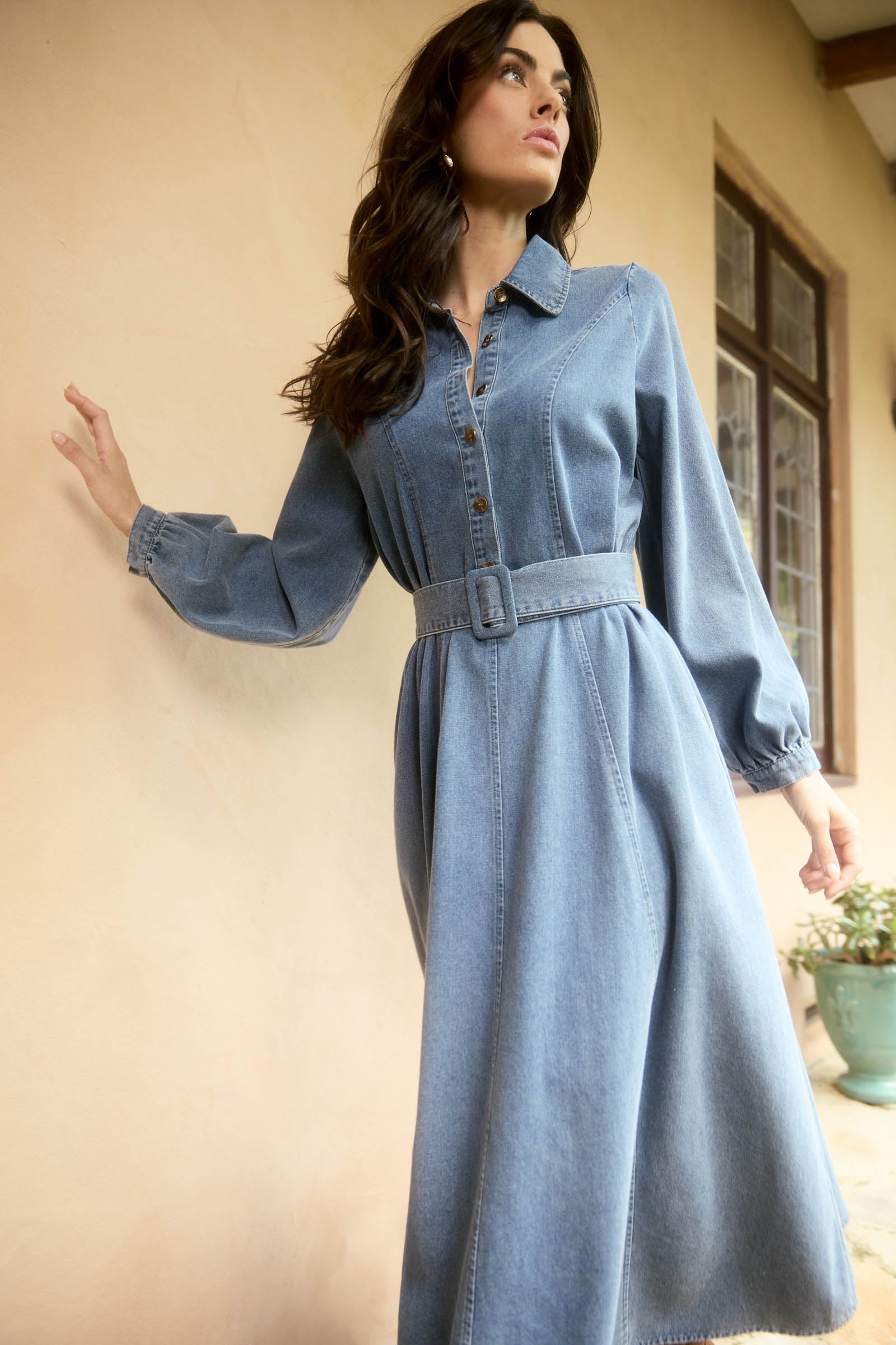 Freya Dress - Denim