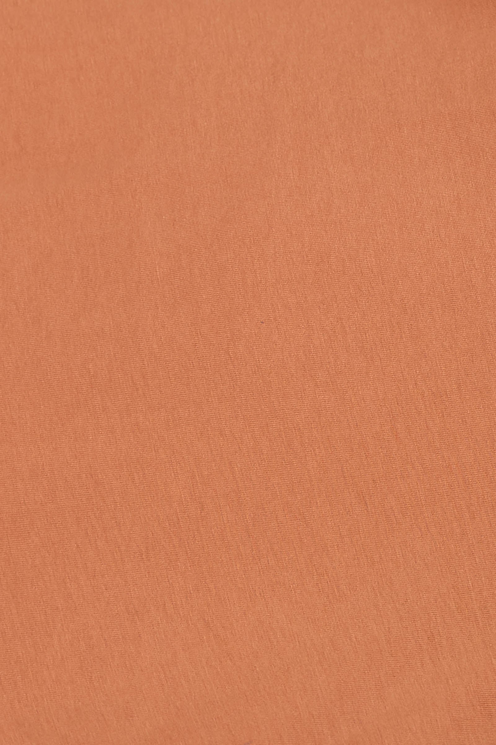 Reveler Tshirt - Caramel - eb&ive Clothing - Top Tshirt S/S