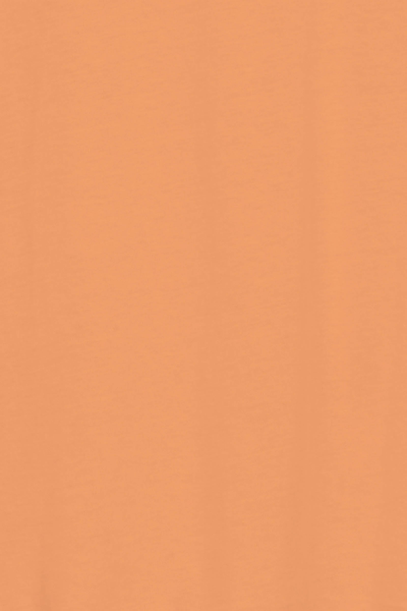 Tisane Tshirt - Sherbet - Isle of Mine Clothing - Top Tshirt S/S One Size