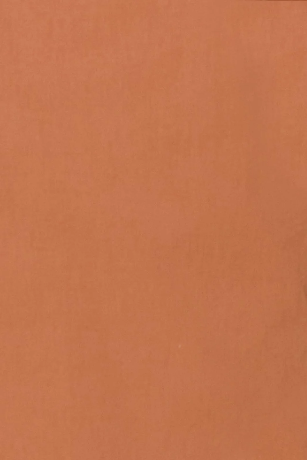 Studio Oversize Shirt - Cinnamon